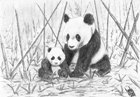 Jan Dyrda komiksy opowiadania tłumaczenia Pandas with bamboo Jan Dyrda